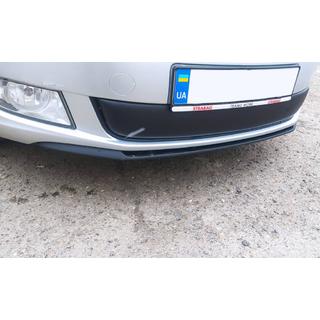 Winterabdeckung für Kühlergrill (2011-2014, unten) Skoda Fabia 2007-2014 Foto 2