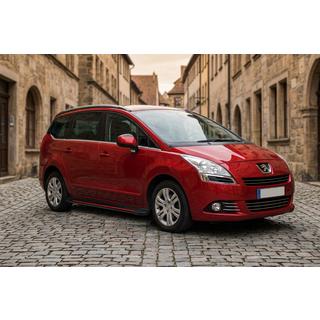Seitenschweller Maya Red (2 Stk., Aluminium) Peugeot 5008 2009-2016 Foto 1