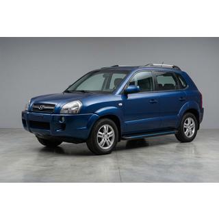 Seitenschweller Maya Blue (2 Stk., Aluminium) Hyundai Tucson JM 2004- Foto 1