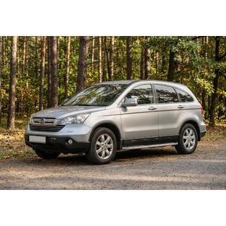 Seitenschweller Tayga V2 (2 Stk., Aluminium) Foto 1