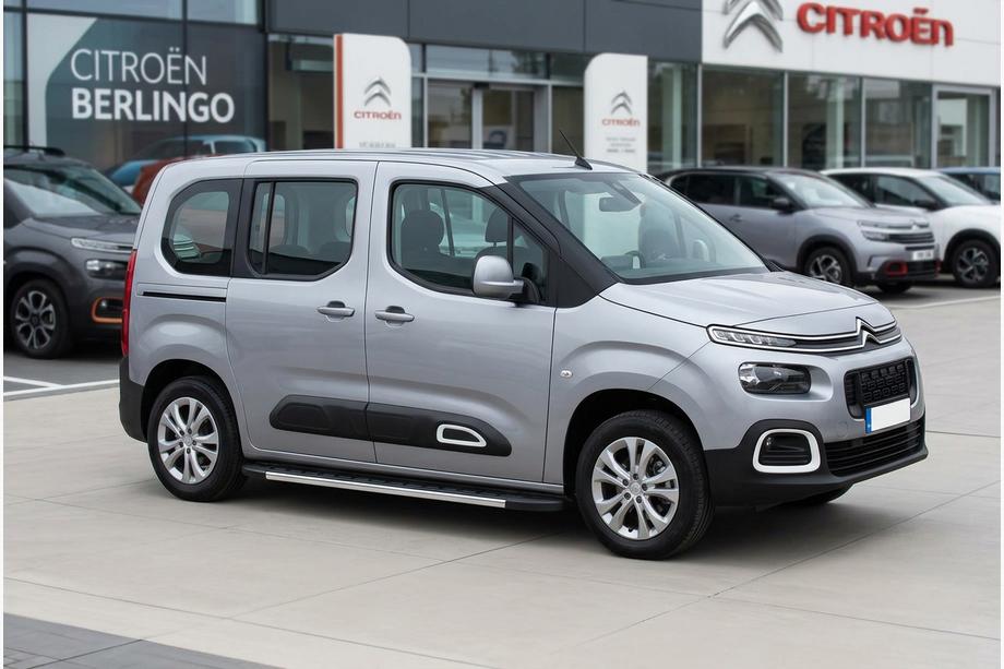 Citroen Berlingo/Multispace 2018- Trittbretter Duru (2 Stk., Aluminium) Image
