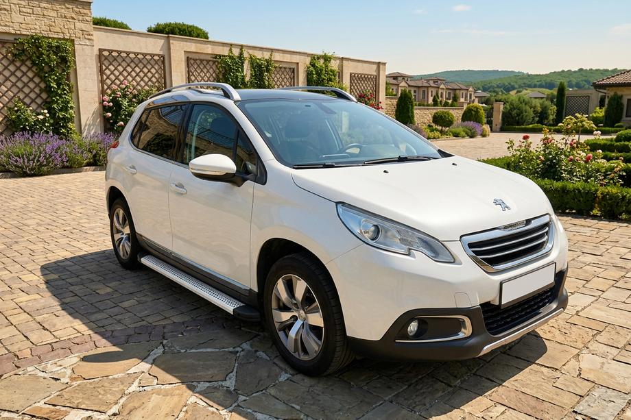 Peugeot 2008 2013-2019 Seitenschweller Maya V2 (2 Stk., Aluminium) Image