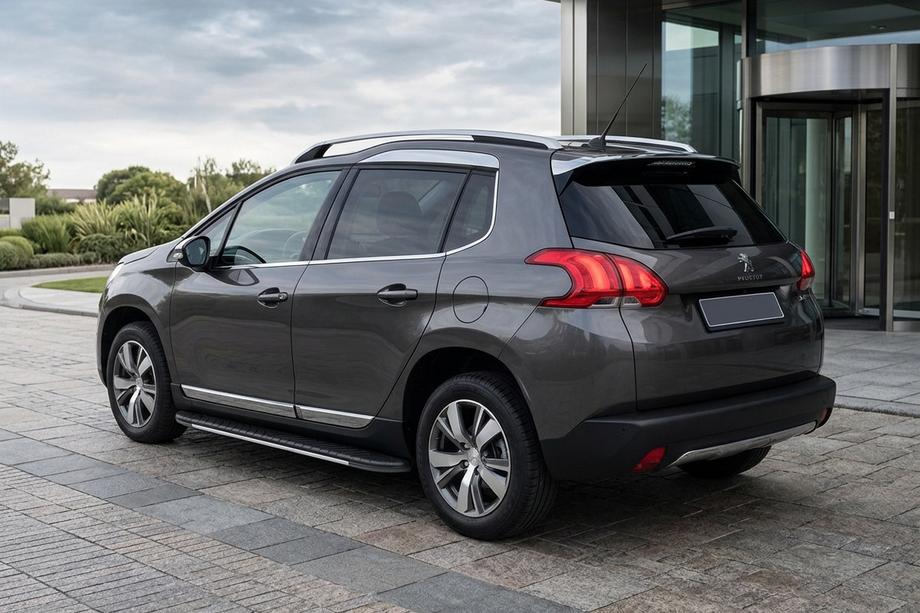 Peugeot 3008 2008-2016 Trittbretter Bosphorus Grey (2 Stk., Aluminium) Image