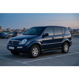 Seitenschweller Maya Blue (2 Stk., Aluminium) SsangYong Rexton I 2001-2017 Foto 1