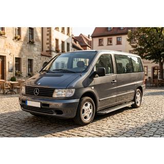 Trittbretter Bosphorus Grey (2 Stk., Aluminium) Foto 1
