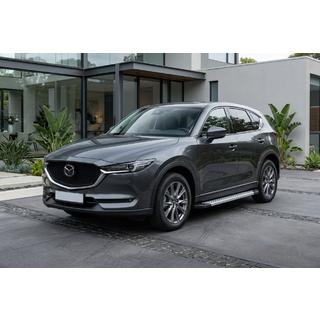 Seitenschweller New Vision Grey (2 Stk., Aluminium) Foto 1