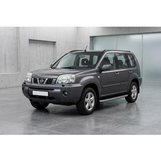 Seitenschweller Tayga Grey (2 Stk., Alu) Foto 1
