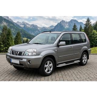 Seitenschweller Tayga V2 (2 Stk., Alu) Foto 1