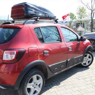 Türleisten (4 Stk, ABS) Renault Sandero 2013-2022 Foto 3