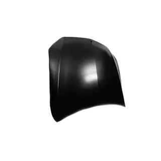 Motorhaube (Aluminium) Foto 2