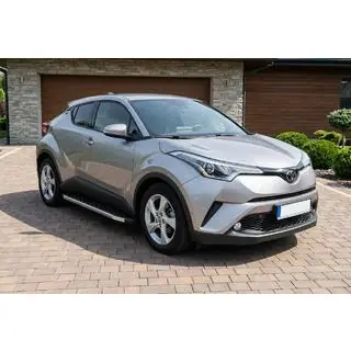 Trittbretter BlackLine (2 Stk., Aluminium) Foto 1
