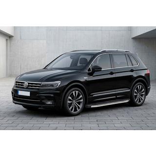 Seitenschweller BlackLine (2 Stk., Aluminium) Foto 1