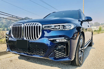 BMW X7 G07 2019- Seitenschweller OEM (2 Stk) Foto 6