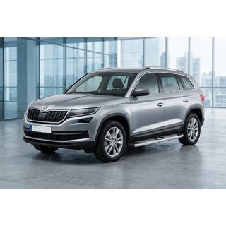 Seitenschweller Mevsim Grey (2 Stk., Aluminium) Skoda Kodiaq 2016-2023 Foto 1