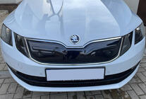 Skoda Octavia III A7 2013-2019 Wintergrill (2017-2020) Foto 1