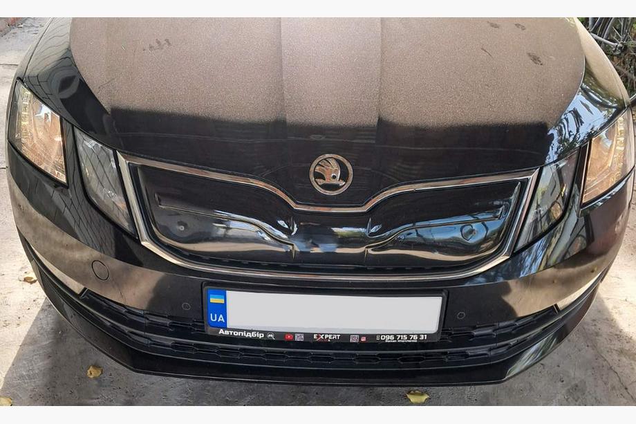 Skoda Octavia III A7 2013-2019 Wintergrill (2017-2020) Glänzend Foto 7