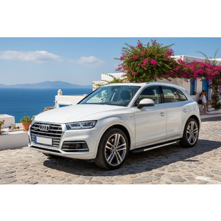Trittbretter Duru (2 Stk., Aluminium) Audi Q5 2017-2025 Foto 1