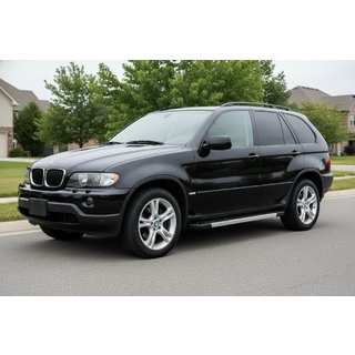 Seitenschweller RedLine (2 Stk, Alu) BMW X5 E53 1999–2006 Foto 1