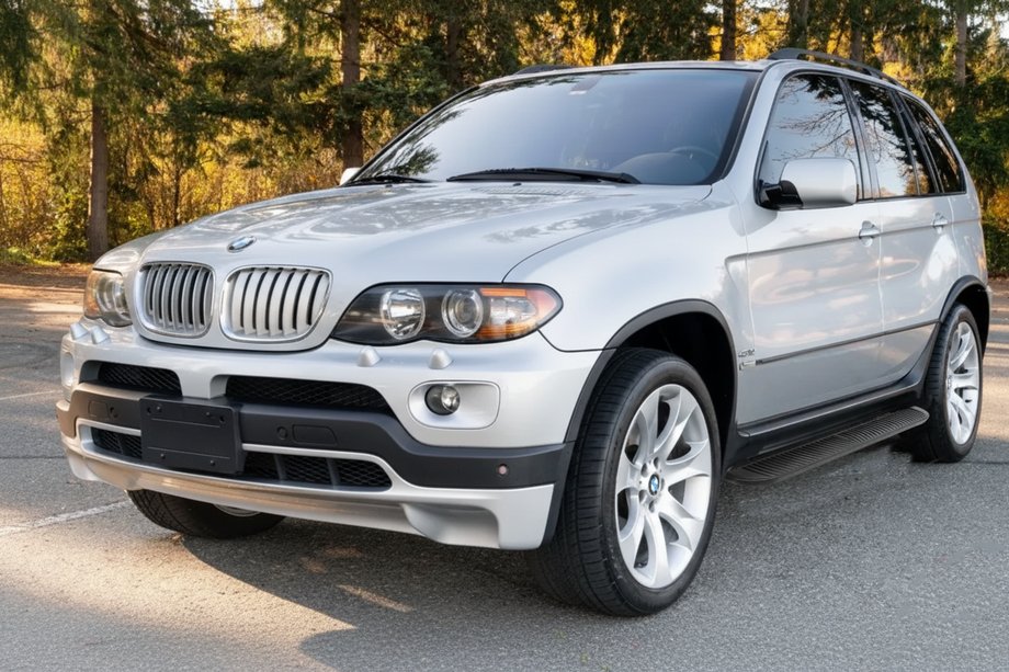 BMW X5 E53 1999–2006 Seitenschweller Tayga Black (2 Stk, Alu) Image