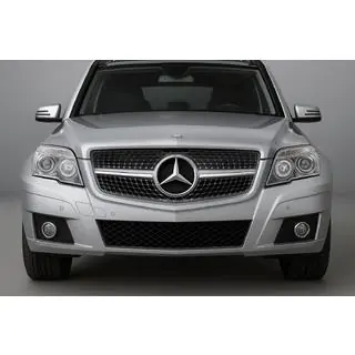 Frontgrill Diamond Silber (2009-2012) Foto 1