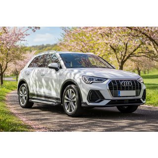 Trittbretter Allmond Grey (2 Stk., Aluminium) Audi Q3 2019–2025 Foto 1