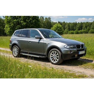 Seitenschweller RedLine (2 Stk., Aluminium) BMW X3 E83 2003-2010 Foto 1