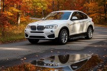 BMW X4 F26 2014-2018 Seitenschweller Bosphore Grey (2 Stk., Aluminium) Foto 1