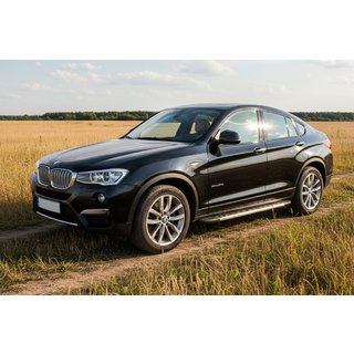 Trittbretter Duru (2 Stk., Aluminium) BMW X4 F26 2014-2018 Foto 1