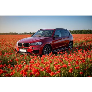 Seitenschweller Maya Red (2 Stk., Aluminium) BMW X5 F15 2013-2018 Foto 1