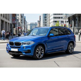 Seitenschweller Maya Blue (2 Stk., Aluminium) BMW X5 F15 2013-2018 Foto 1
