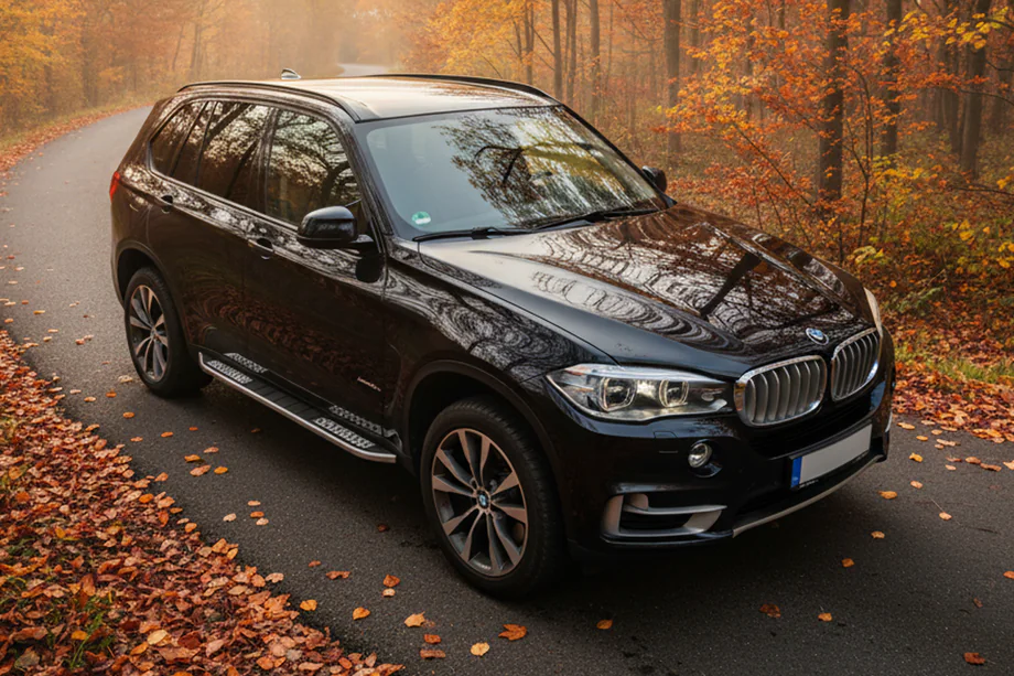 BMW X5 F15 2013-2018 Seitenschweller Tayga V2 (2 Stk., Aluminium) Foto 1