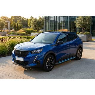 Seitenschweller Maya Blue (2 Stk., Aluminium) Peugeot 2008 2019- Foto 1