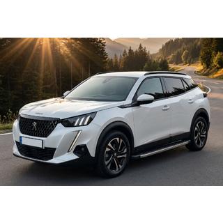 Seitenschweller BlackLine (2 Stk., Aluminium) Peugeot 2008 2019- Foto 1