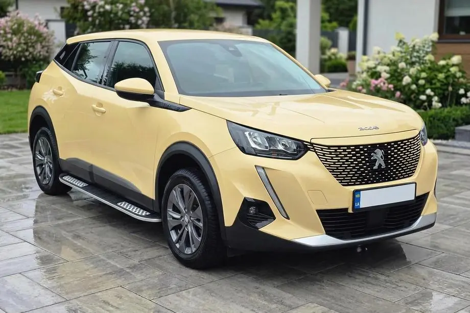 Peugeot 2008 2019- Seitenschweller Tayga V2 (2 Stk., Aluminium) Foto 1