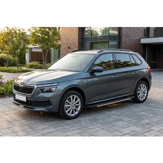 Seitenschweller Bosphore Grey (2 Stk., Aluminium) Foto 1
