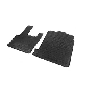 Gummimatten (2 Stk, Stingray Premium) DAF XF105 2005-2013 Foto 2