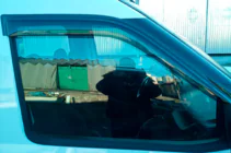 Opel Combo 2012-2018 Windabweiser (2 Stk, HIC) Foto 12
