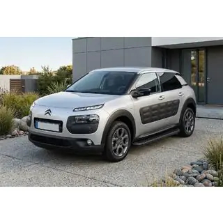 Seitenschweller Tayga Black (2 Stk., Aluminium) Foto 1