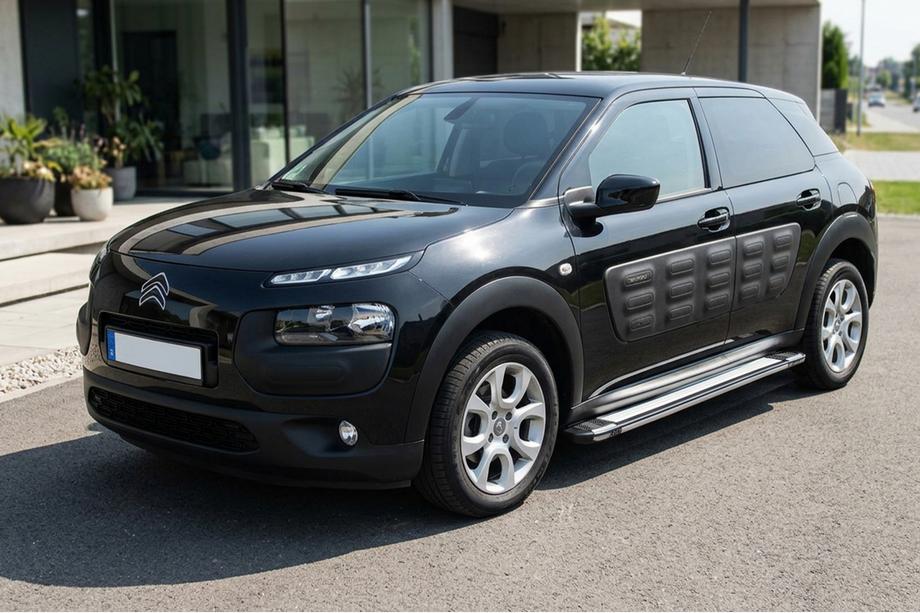 Citroen Cactus 2014-2020 Trittbretter Rainbow (2 Stk., Aluminium) Image