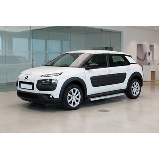 Seitenschweller Maya V2 (2 Stk., Aluminium) Citroen Cactus 2014-2020 Foto 1