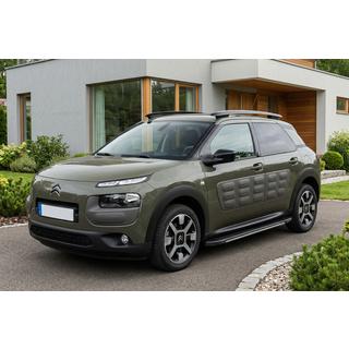 Trittbretter Bosphorus Grey (2 Stk., Aluminium) Foto 1