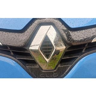 Emblem (Türkei) Foto 2