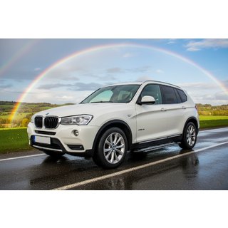 Trittbretter Rainbow (2 Stk., Aluminium) BMW X3 F25 2011-2018 Foto 1