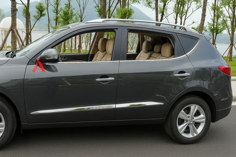 Geely Emgrand X7 2011- Türleisten Libao (4 Stk, Kunststoff) Image