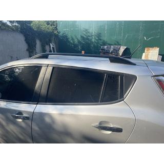 Dachreling Skyport (schwarz) Nissan Leaf 2010-2017 Foto 1
