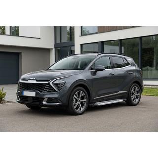 Seitenschweller Vision New Grey (2 Stk., Aluminium) Foto 1