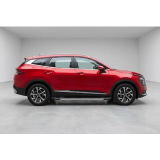 Seitenschweller RedLine (2 Stk., Aluminium) Foto 1